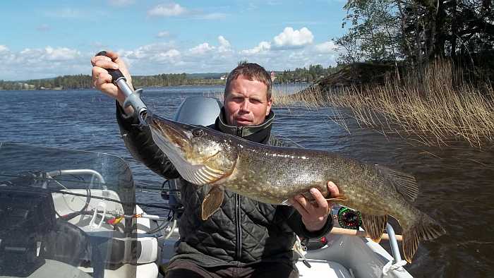 Björn beim Testen im Frühjahr